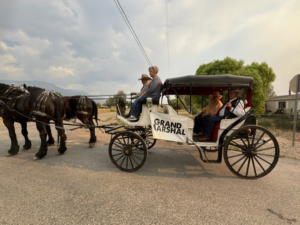Welsh Days 2026 photo